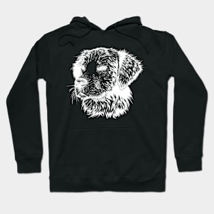 Dog Hoodie